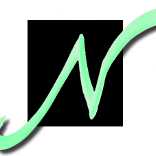 Nontoxic Wellness SHOP logo