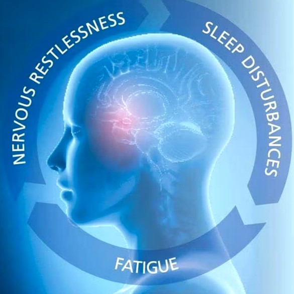 Neurexan Natural Stress & Anxiety Relief - Calms Nervousness, Restlessness & Supports Better Sleep 50 tablets - Image 3