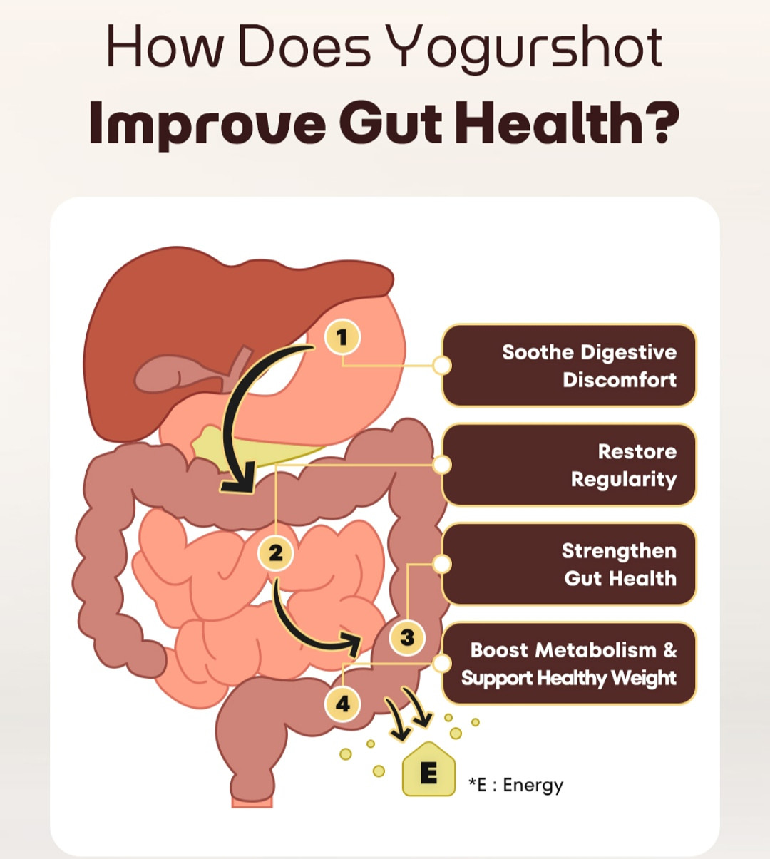 Yogurshot | Digestive Relief & Daily Gut Booster (7 shots) - Image 3